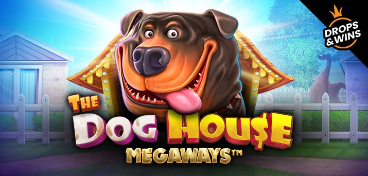 dog house megaways