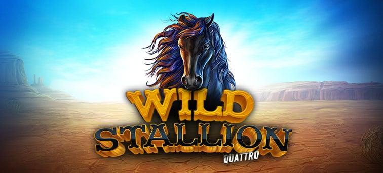 Wild Stallion