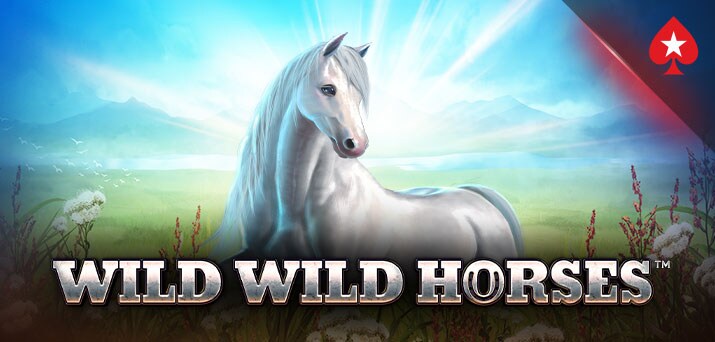 Wild Wild Horses