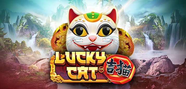 A MAIOR SORTE QUE TIVEMOS NO GATINHO *LUCKY CAT* #slots #luckycat  #casalapostas #jogos #gamer 