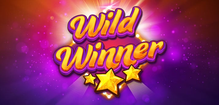 wild spin jackpot winner