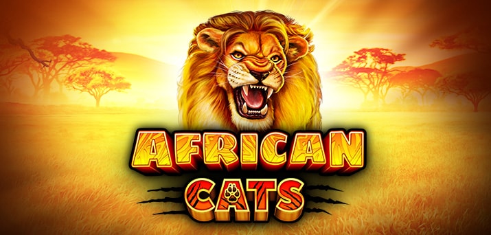 African Cats