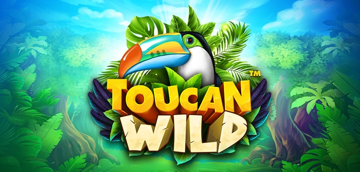 Toucan Wild