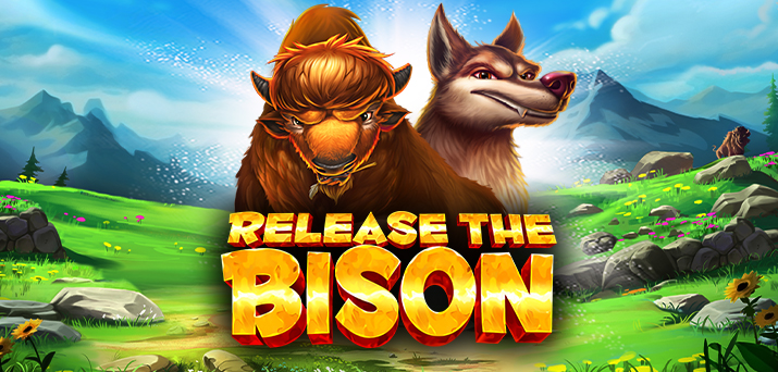 bizon casino