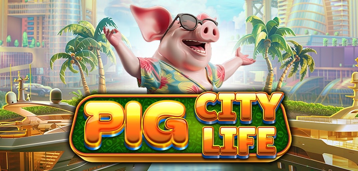 Pig City Life