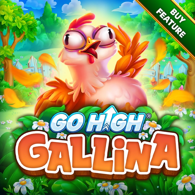 Go High Gallina BF