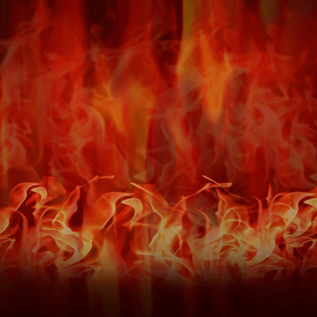 Wild Fortune Casino Game Lobby