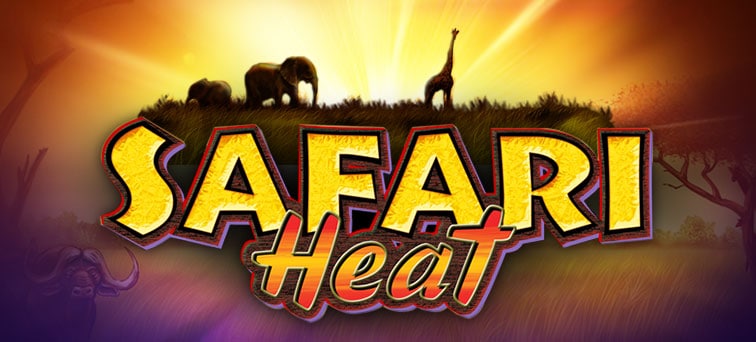 Safari Heat