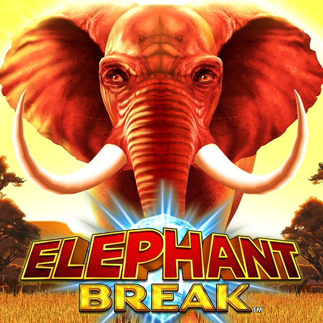 Elephant Break