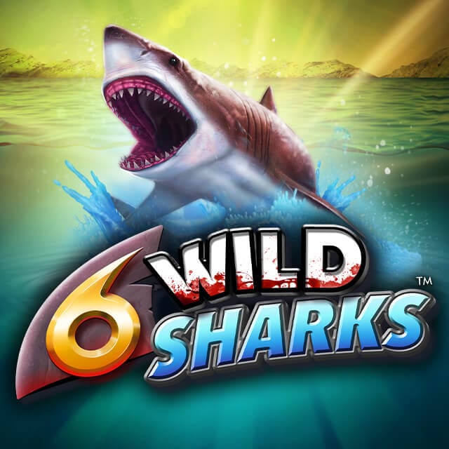 6 Wild Sharks